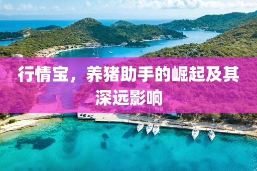 行情宝，养猪助手的崛起及其深远影响