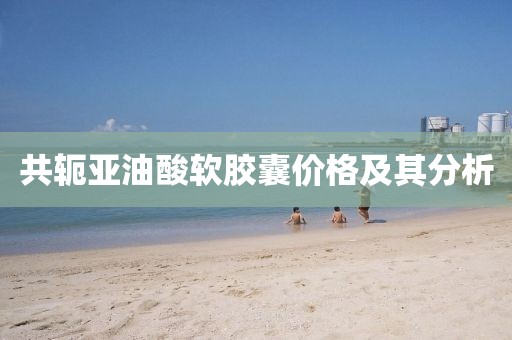共轭亚油酸软胶囊价格及其分析