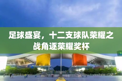 足球盛宴，十二支球队荣耀之战角逐荣耀奖杯