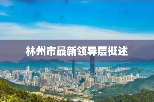 林州市最新领导层概述