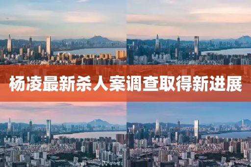 杨凌最新杀人案调查取得新进展