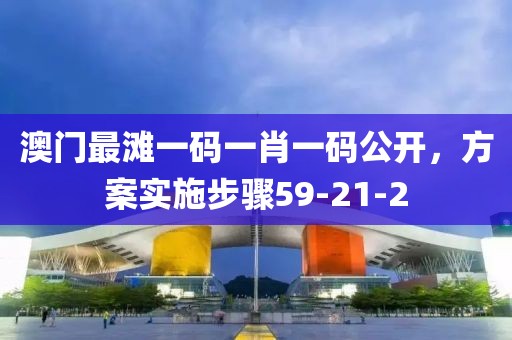 澳门最滩一码一肖一码公开，方案实施步骤59-21-2