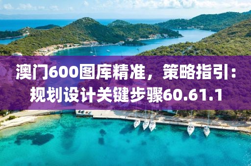 澳门600图库精准，策略指引：规划设计关键步骤60.61.1