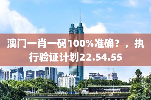澳门一肖一码100%准确？，执行验证计划22.54.55