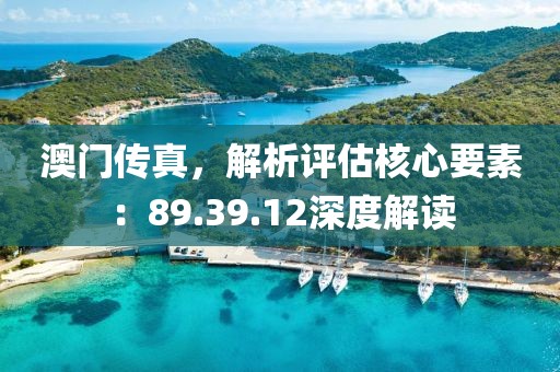 澳门传真，解析评估核心要素：89.39.12深度解读