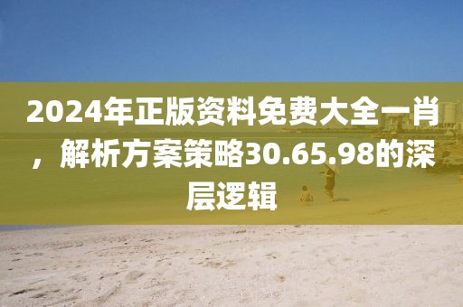 2024年正版资料免费大全一肖，解析方案策略30.65.98的深层逻辑