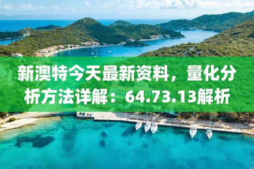 新澳特今天最新资料，量化分析方法详解：64.73.13解析