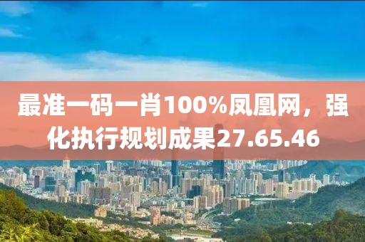 最准一码一肖100%凤凰网，强化执行规划成果27.65.46