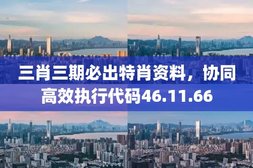 三肖三期必出特肖资料，协同高效执行代码46.11.66