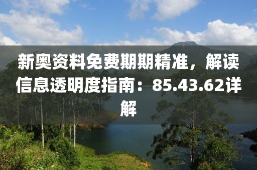 新奥资料免费期期精准，解读信息透明度指南：85.43.62详解