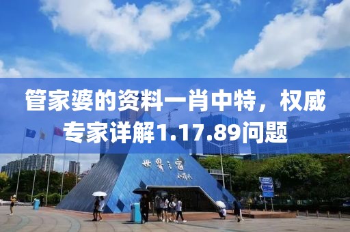管家婆的资料一肖中特，权威专家详解1.17.89问题