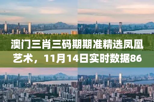 澳门三肖三码期期准精选凤凰艺术，11月14日实时数据86