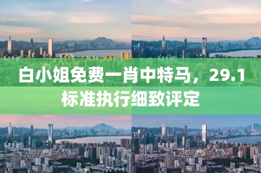 白小姐免费一肖中特马，29.1标准执行细致评定