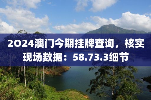 2O24澳门今期挂牌查询，核实现场数据：58.73.3细节