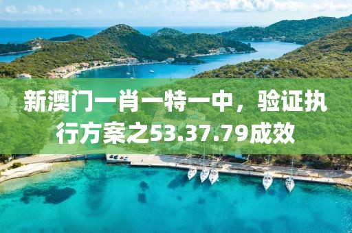 新澳门一肖一特一中，验证执行方案之53.37.79成效