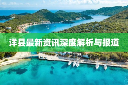 洋县最新资讯深度解析与报道