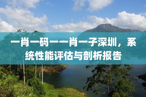一肖一码一一肖一子深圳，系统性能评估与剖析报告