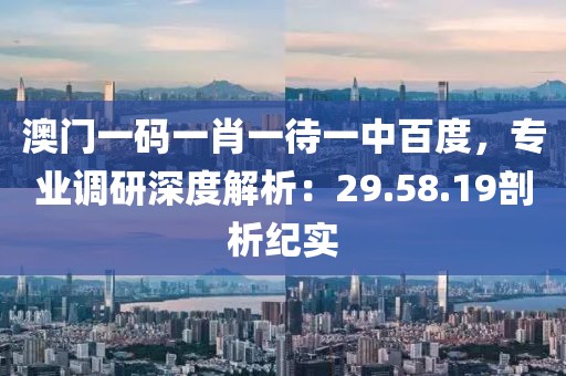 澳门一码一肖一待一中百度，专业调研深度解析：29.58.19剖析纪实
