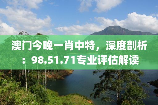 澳门今晚一肖中特，深度剖析：98.51.71专业评估解读