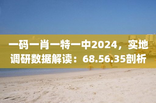 一码一肖一特一中2024，实地调研数据解读：68.56.35剖析