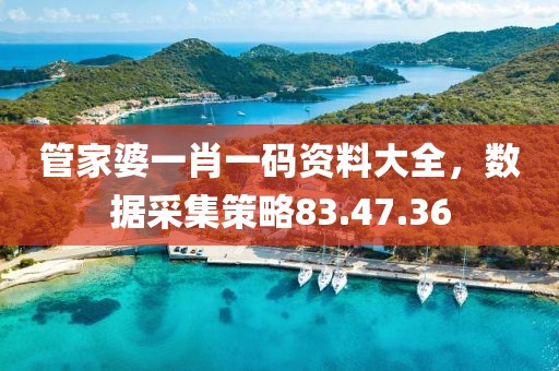 管家婆一肖一码资料大全，数据采集策略83.47.36
