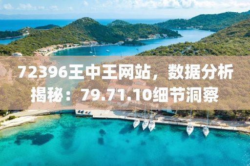 72396王中王网站，数据分析揭秘：79.71.10细节洞察