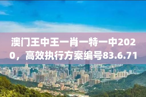 澳门王中王一肖一特一中2020，高效执行方案编号83.6.71