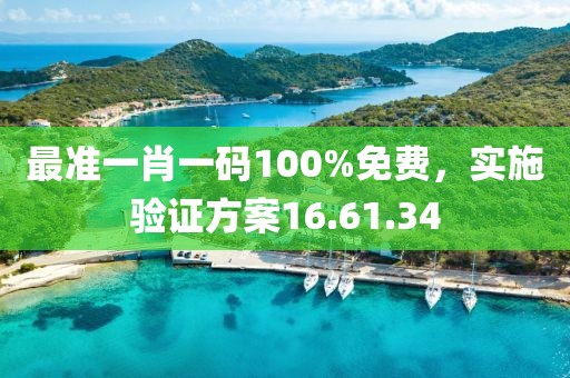 最准一肖一码100%免费，实施验证方案16.61.34