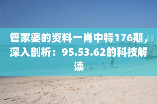 管家婆的资料一肖中特176期，深入剖析：95.53.62的科技解读