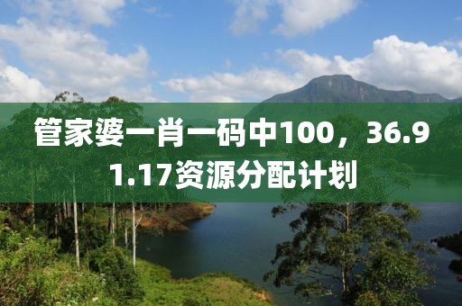 管家婆一肖一码中100，36.91.17资源分配计划