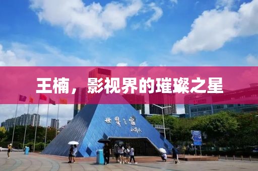 王楠，影视界的璀璨之星