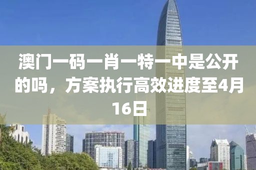 澳门一码一肖一特一中是公开的吗，方案执行高效进度至4月16日