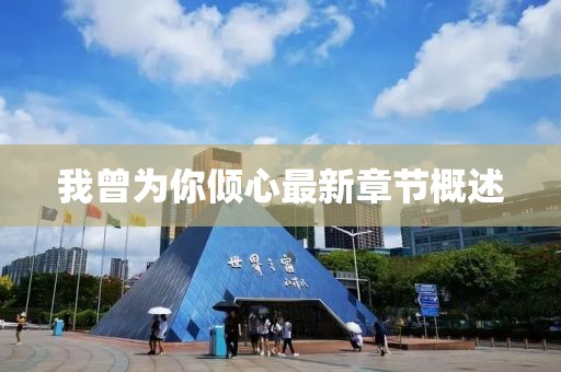 我曾为你倾心最新章节概述
