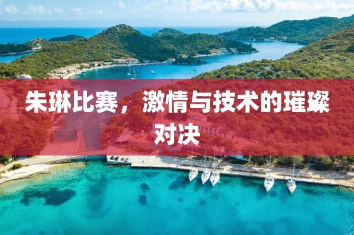 朱琳比赛，激情与技术的璀璨对决