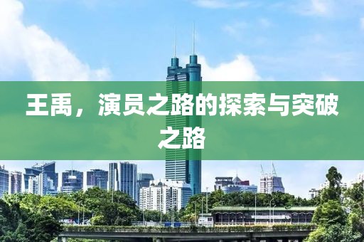 王禹，演员之路的探索与突破之路