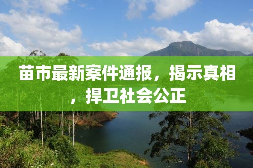 苗市最新案件通报，揭示真相，捍卫社会公正