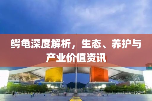 水晶磨砂砖 第142页