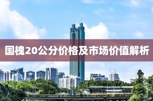 国槐20公分价格及市场价值解析