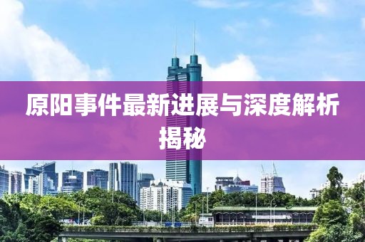 原阳事件最新进展与深度解析揭秘