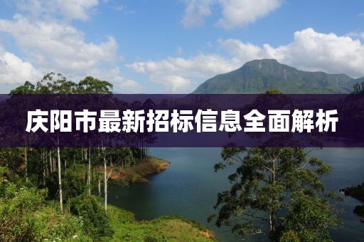 庆阳市最新招标信息全面解析