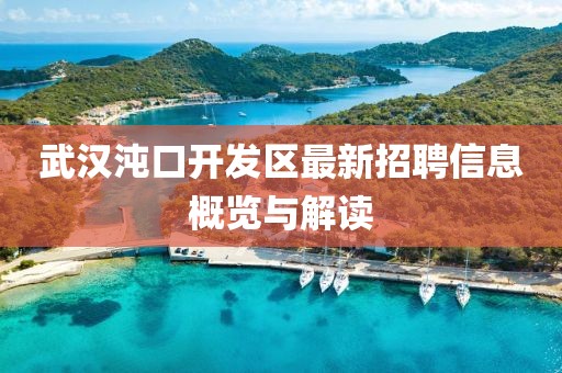 武汉沌口开发区最新招聘信息概览与解读