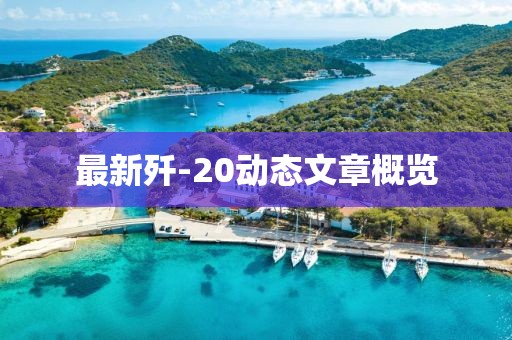 最新歼-20动态文章概览