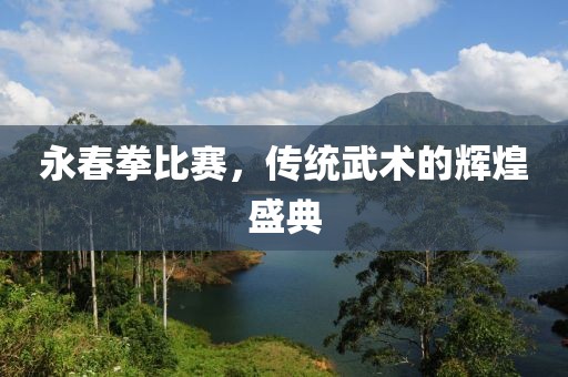 永春拳比赛，传统武术的辉煌盛典
