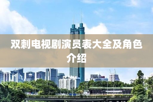 双刺电视剧演员表大全及角色介绍