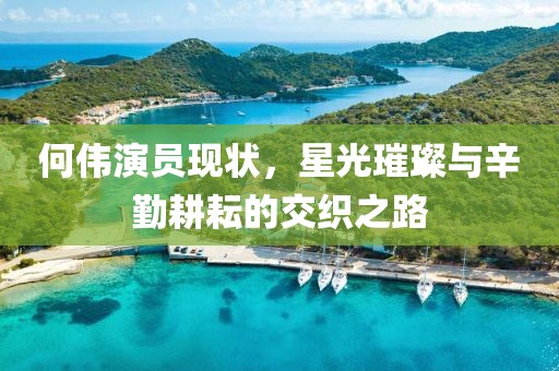 何伟演员现状，星光璀璨与辛勤耕耘的交织之路