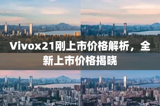 Vivox21刚上市价格解析，全新上市价格揭晓