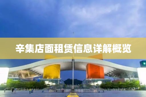 辛集店面租赁信息详解概览