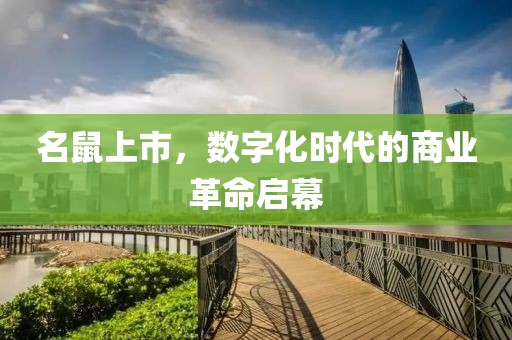 名鼠上市，数字化时代的商业革命启幕