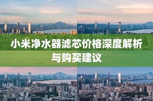 小米净水器滤芯价格深度解析与购买建议