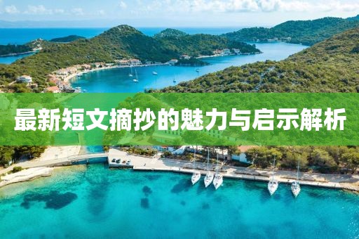最新短文摘抄的魅力与启示解析